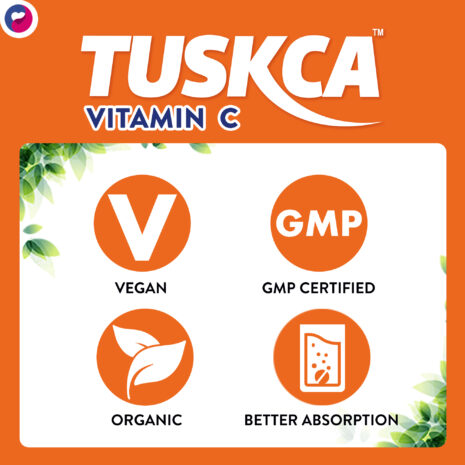 ORANGE-4.jpg-filenameUTF-8ORANGE204.jpg ORANGE-4.jpg-filenameUTF-8ORANGE204.jpg